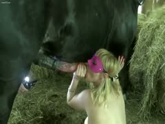 Horse vs. Slut